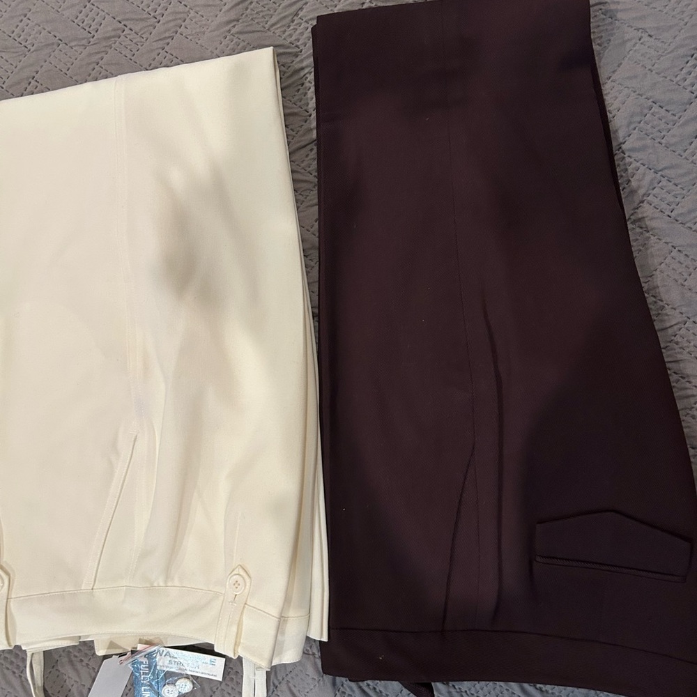 Ann Taylor Professor Plum and Larry Levine Dress Slacks
